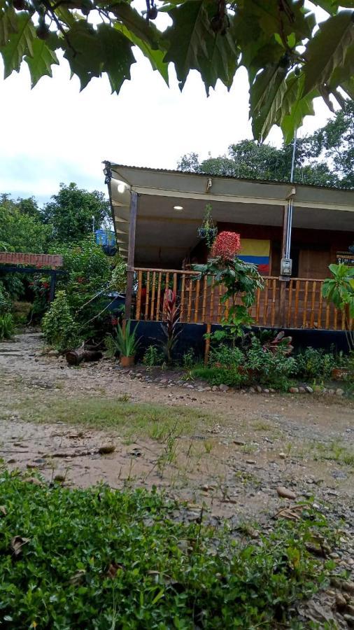 Hostal Cano Nevera La Macarena Exteriér fotografie